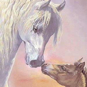 Meet your Posher, Kay